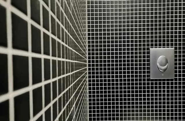 Black and white mosaic tiles on a bathroom wall with a flush plate