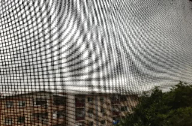 Vista a través de una mosquitera de malla fina con bloques de pisos y árboles al fondo