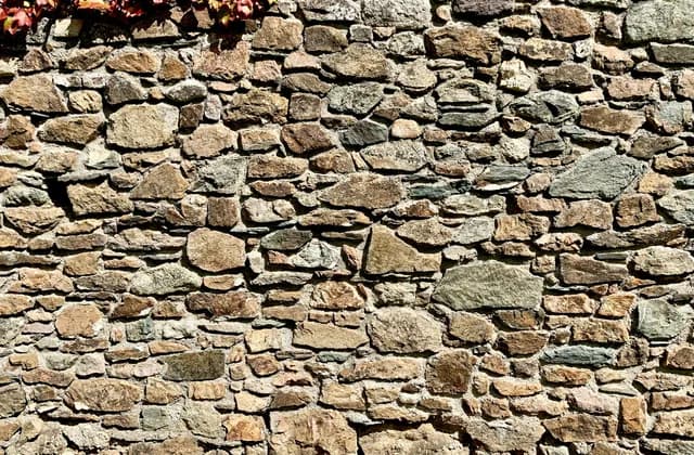 Üstünden bitki sarkan, irili ufaklı doğal taşlarla örülmüş eski bir taş duvar