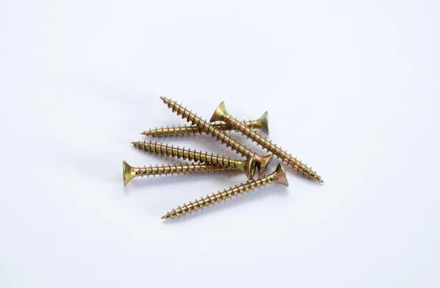 A handful of wood screws on a white background