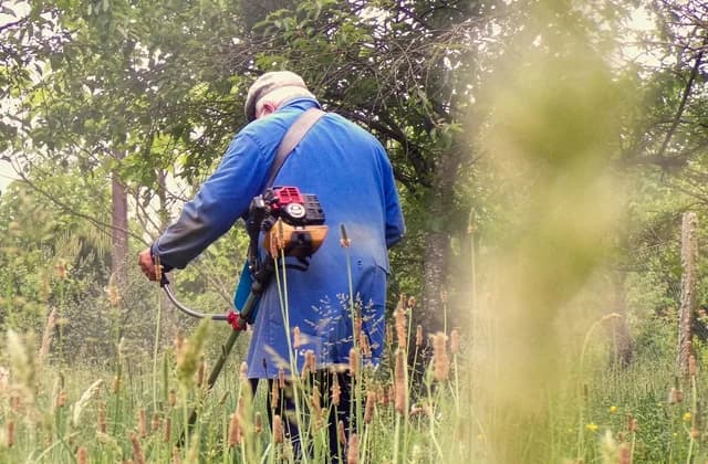 Jardineiro de costas cortando mato alto com uma roçadeira a gasolina